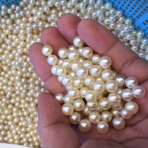 A lot of akoya pearl loose