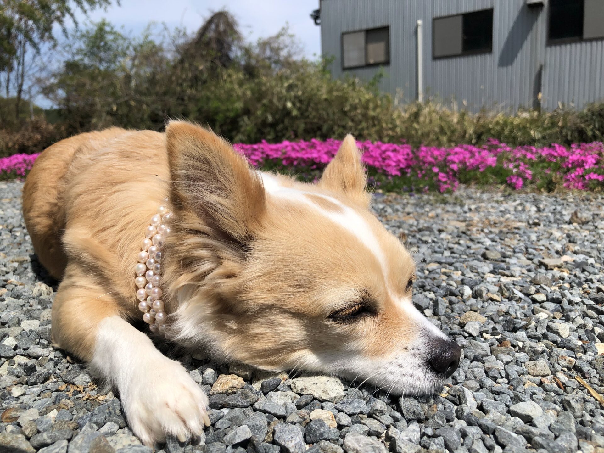 Test