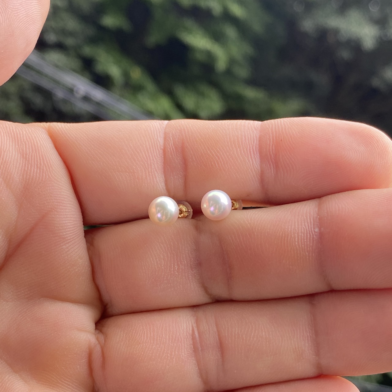 Natural blue Akoya pearl pair in sunlight